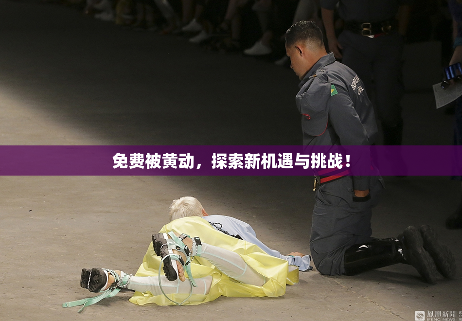 免费被黄动，探索新机遇与挑战！