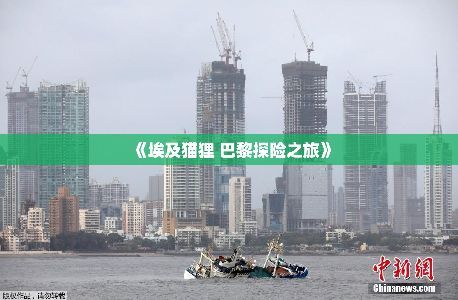 《埃及猫狸 巴黎探险之旅》