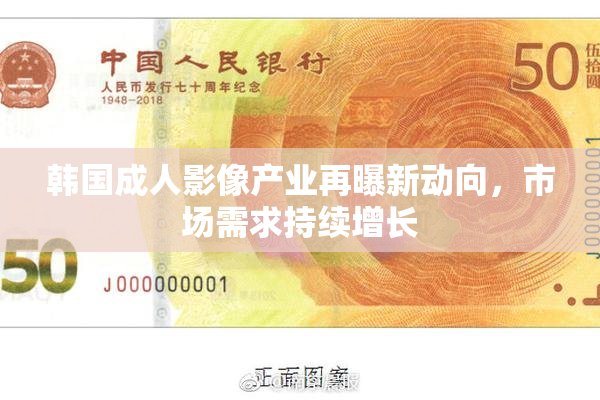 韩国成人影像产业再曝新动向，市场需求持续增长