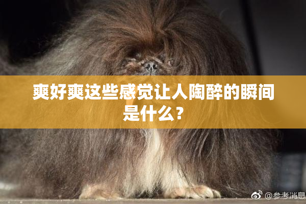 爽好爽这些感觉让人陶醉的瞬间是什么？