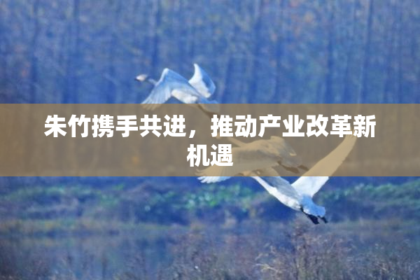 朱竹携手共进，推动产业改革新机遇