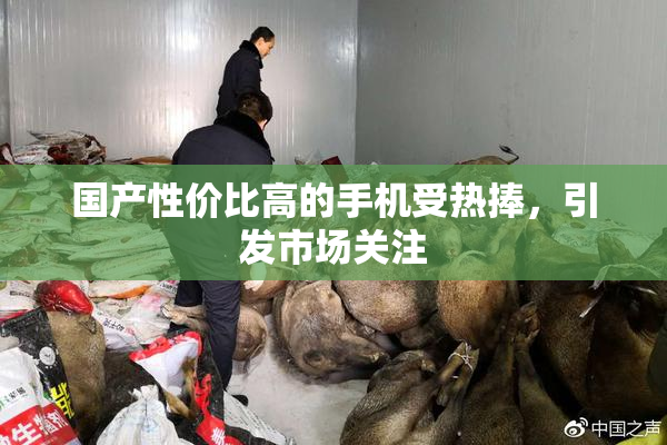 国产性价比高的手机受热捧，引发市场关注