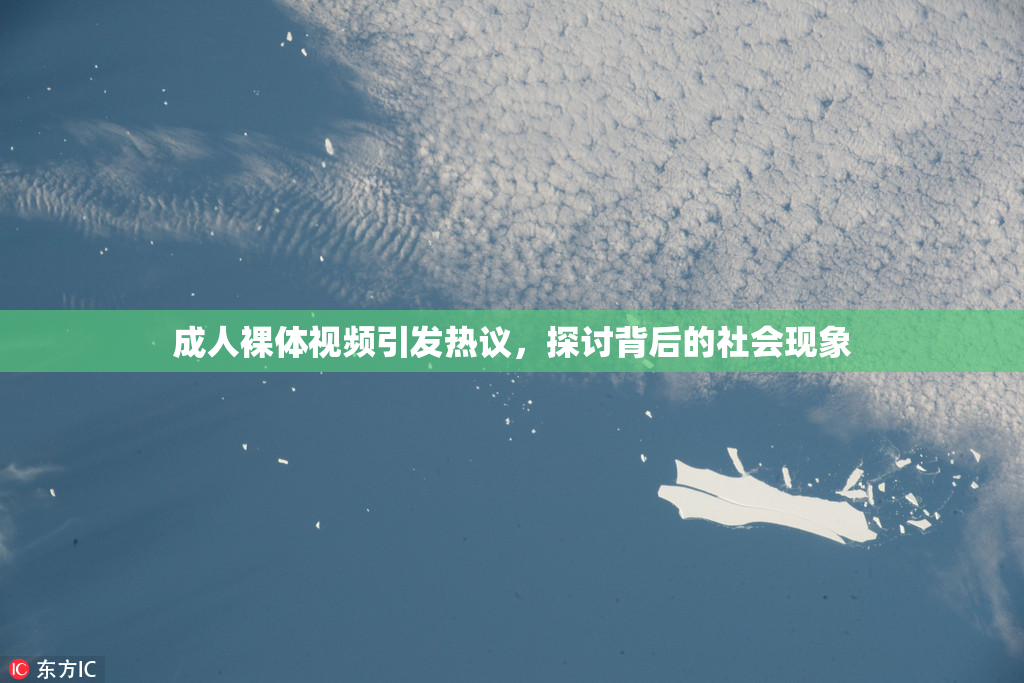 成人裸体视频引发热议，探讨背后的社会现象