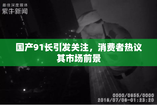 国产91长引发关注，消费者热议其市场前景
