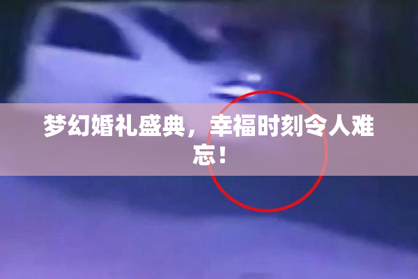 梦幻婚礼盛典，幸福时刻令人难忘！