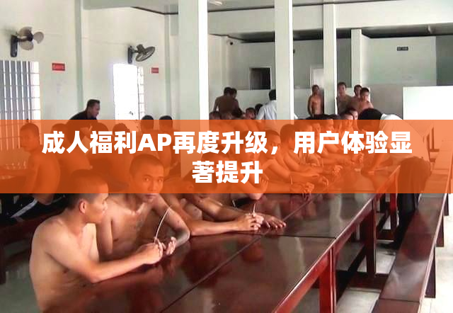 成人福利AP再度升级，用户体验显著提升