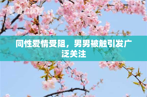 同性爱情受阻，男男被触引发广泛关注