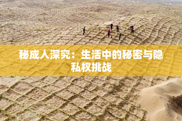 秘成人深究：生活中的秘密与隐私权挑战