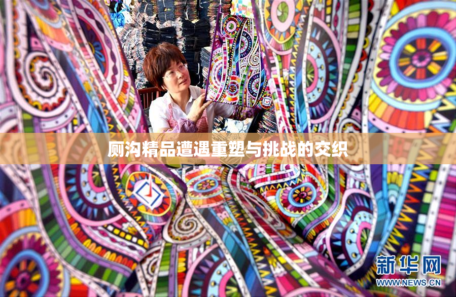 厕沟精品遭遇重塑与挑战的交织