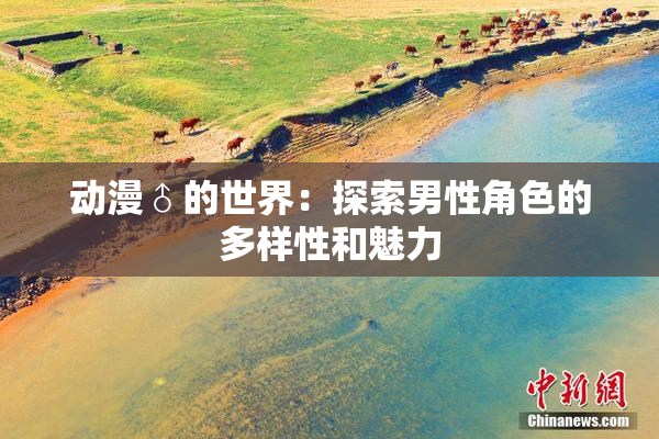 动漫♂的世界：探索男性角色的多样性和魅力