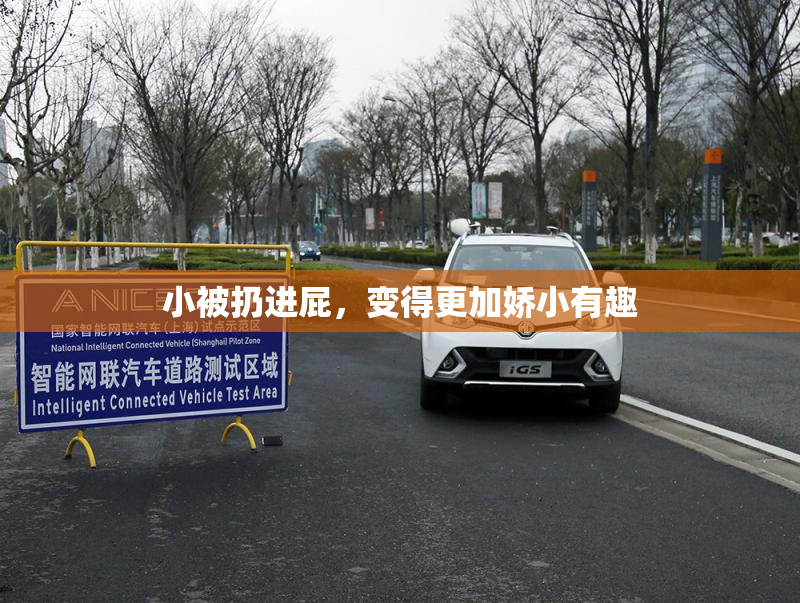 小被扔进屁，变得更加娇小有趣