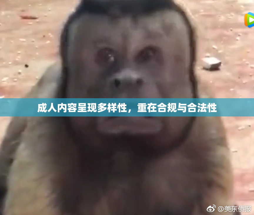 成人内容呈现多样性，重在合规与合法性