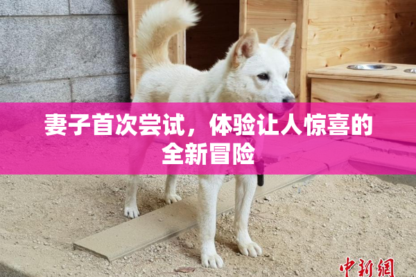 妻子首次尝试，体验让人惊喜的全新冒险