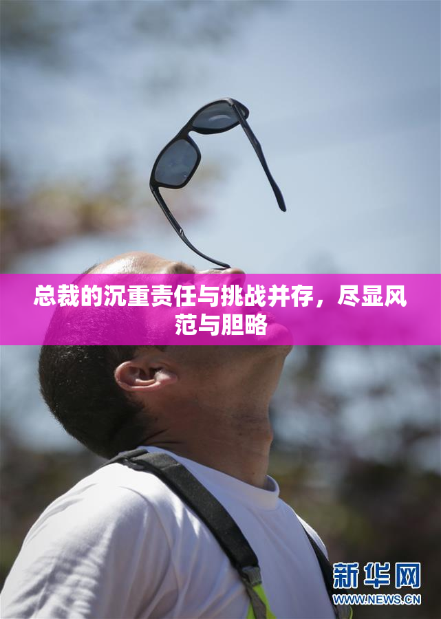 总裁的沉重责任与挑战并存，尽显风范与胆略