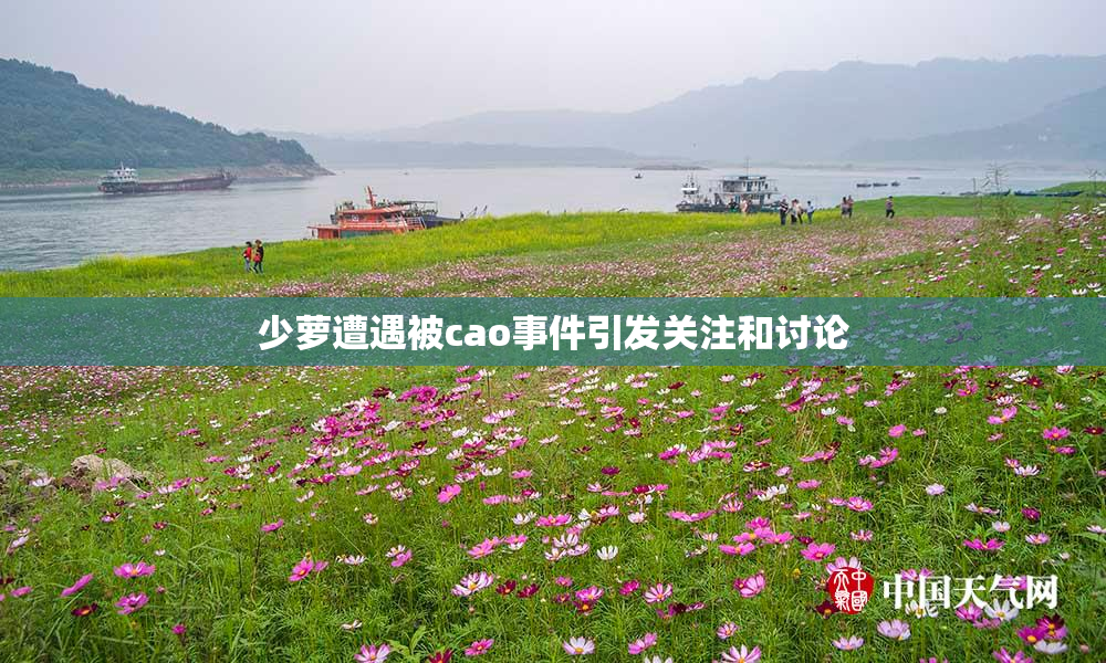 少萝遭遇被cao事件引发关注和讨论