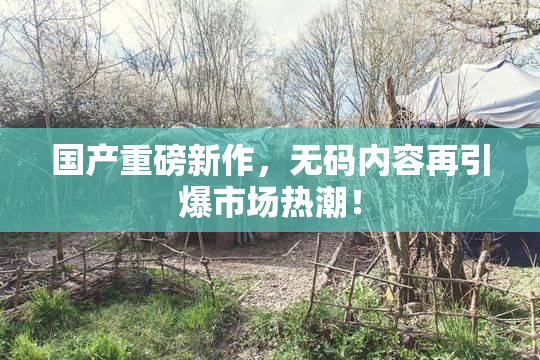 国产重磅新作，无码内容再引爆市场热潮！