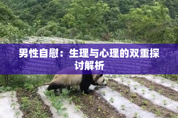 男性自慰：生理与心理的双重探讨解析
