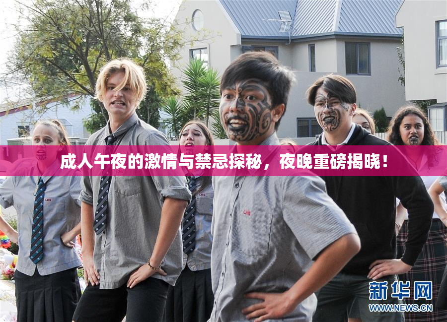 成人午夜的激情与禁忌探秘，夜晚重磅揭晓！