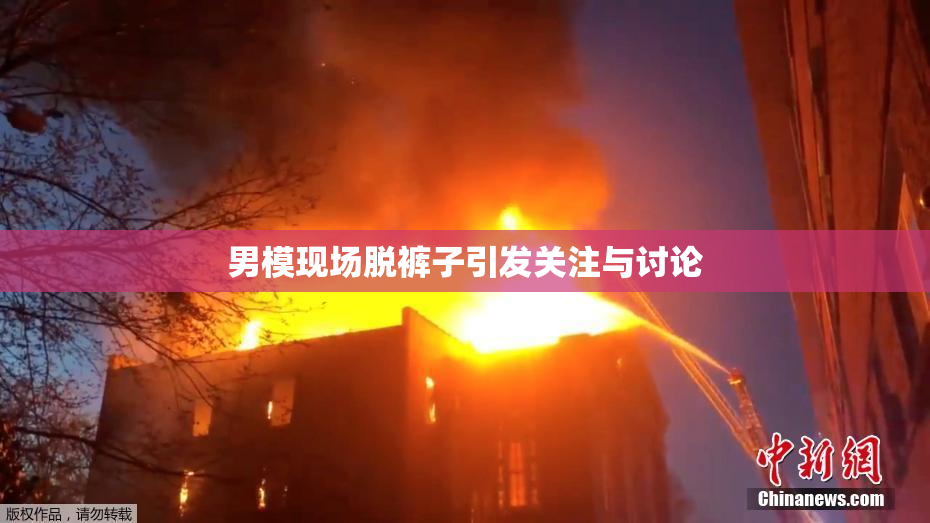 男模现场脱裤子引发关注与讨论