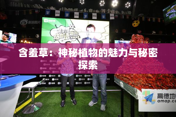 含羞草：神秘植物的魅力与秘密探索