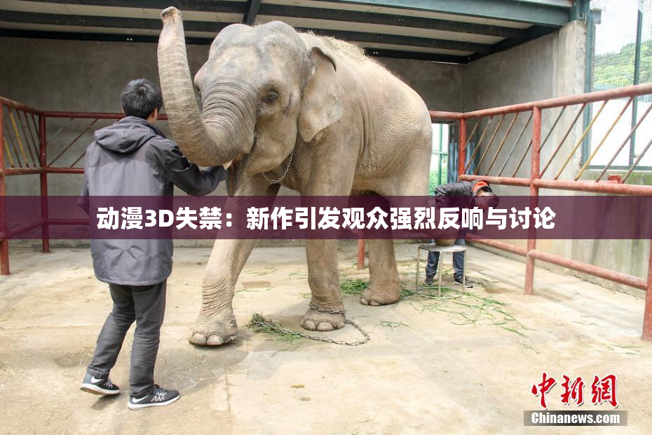 动漫3D失禁：新作引发观众强烈反响与讨论
