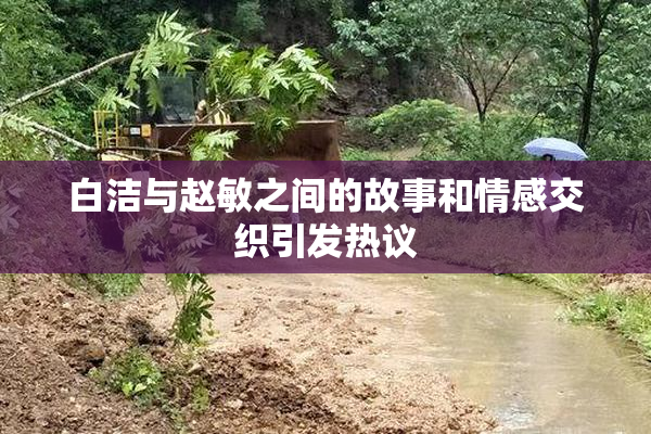 白洁与赵敏之间的故事和情感交织引发热议