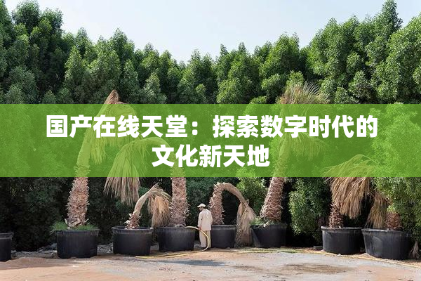 国产在线天堂：探索数字时代的文化新天地