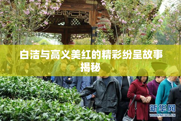 白洁与高义美红的精彩纷呈故事揭秘
