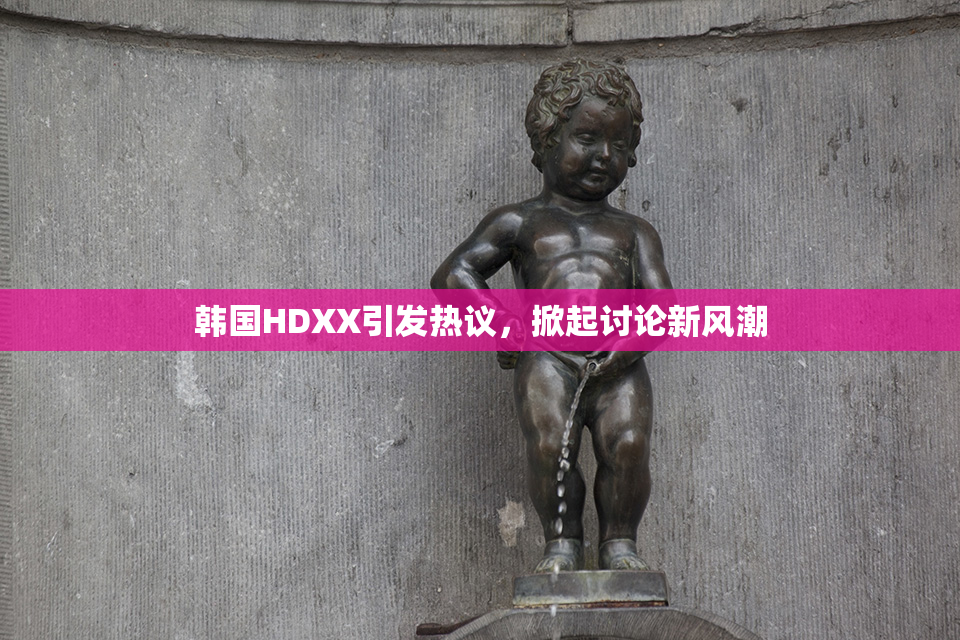 韩国HDXX引发热议，掀起讨论新风潮