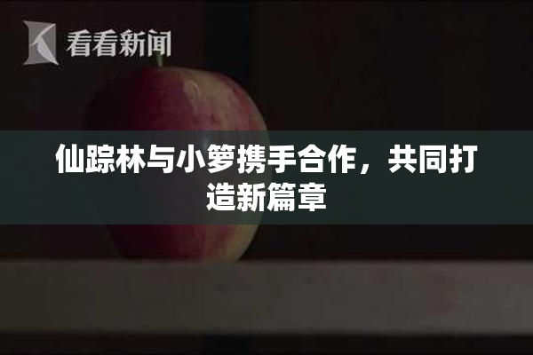 仙踪林与小箩携手合作，共同打造新篇章