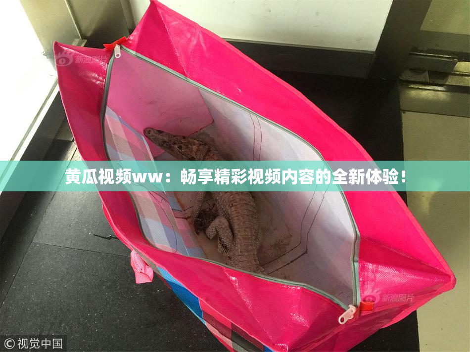 黄瓜视频ww：畅享精彩视频内容的全新体验！