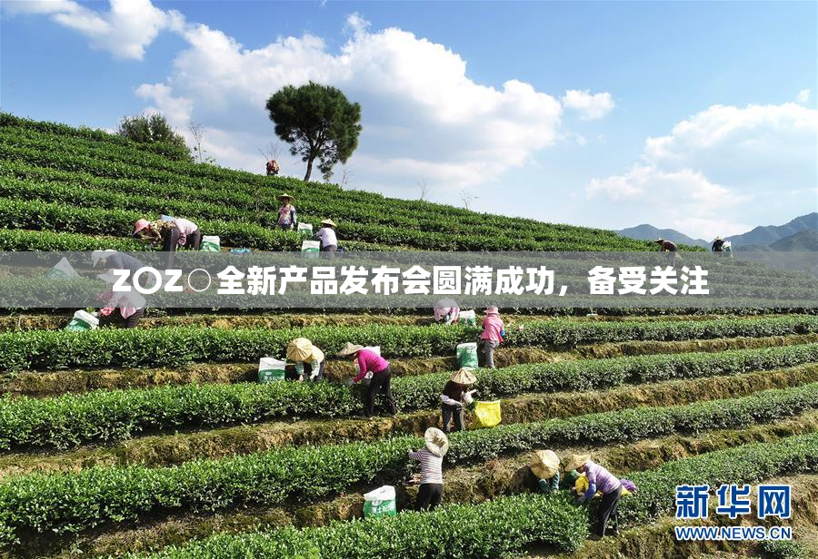 Z〇Z○全新产品发布会圆满成功，备受关注