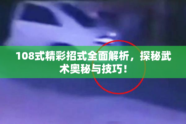 108式精彩招式全面解析，探秘武术奥秘与技巧！