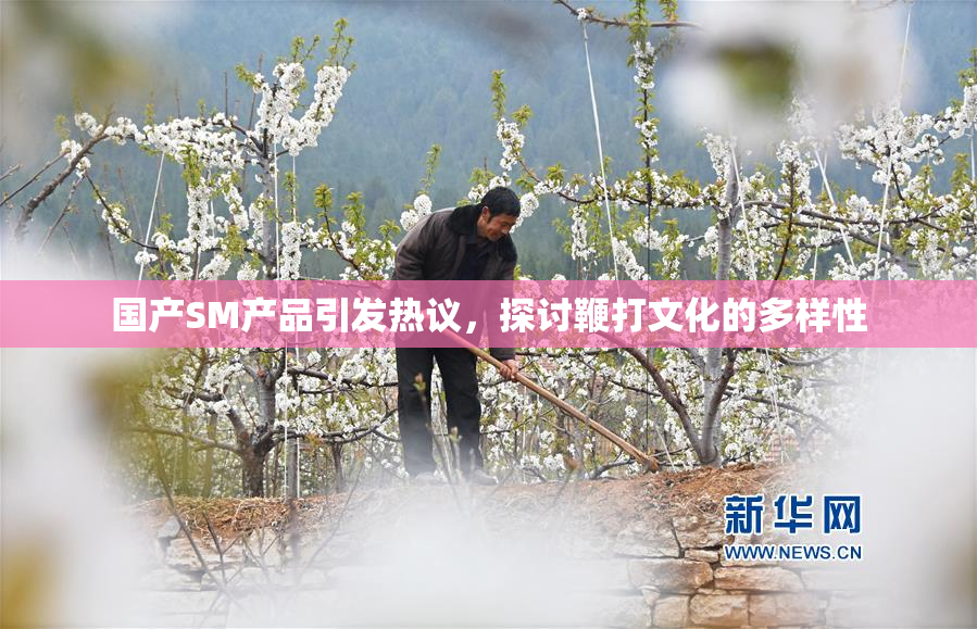国产SM产品引发热议，探讨鞭打文化的多样性
