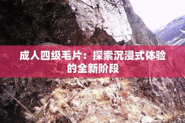 成人四级毛片：探索沉浸式体验的全新阶段