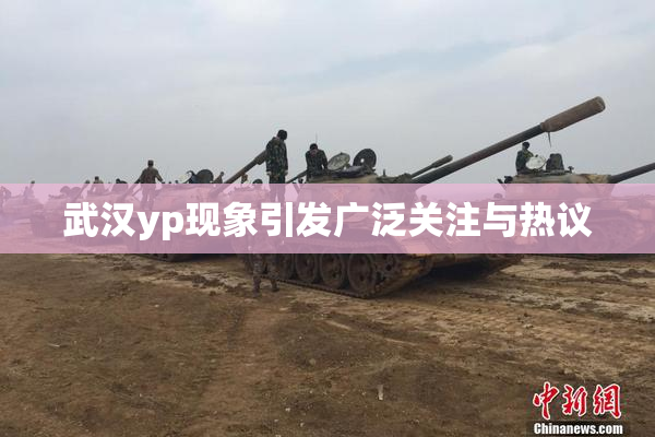 武汉yp现象引发广泛关注与热议