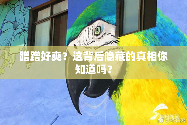蹭蹭好爽？这背后隐藏的真相你知道吗？