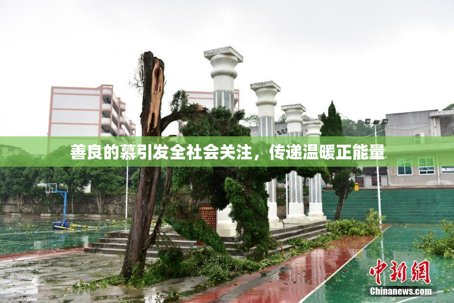 善良的慕引发全社会关注，传递温暖正能量