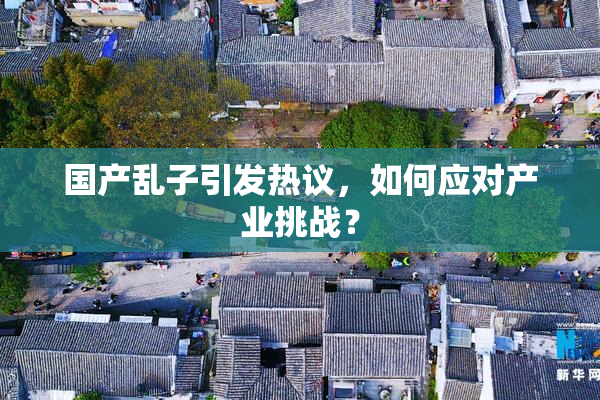 国产乱子引发热议，如何应对产业挑战？