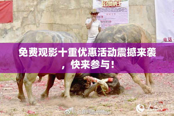 免费观影十重优惠活动震撼来袭，快来参与！