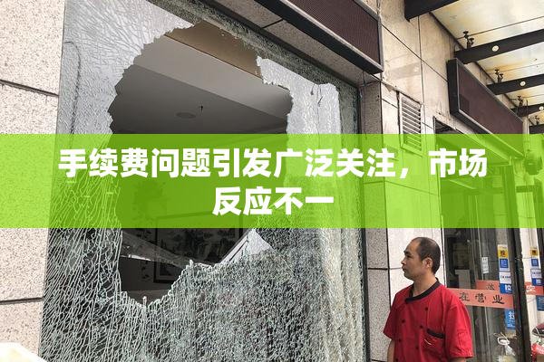 手续费问题引发广泛关注，市场反应不一