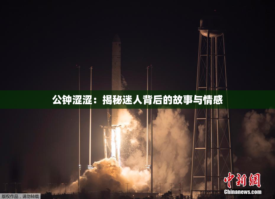 公钟涩涩：揭秘迷人背后的故事与情感