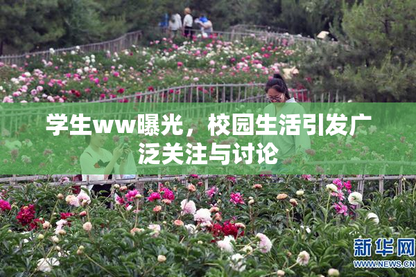 学生ww曝光，校园生活引发广泛关注与讨论
