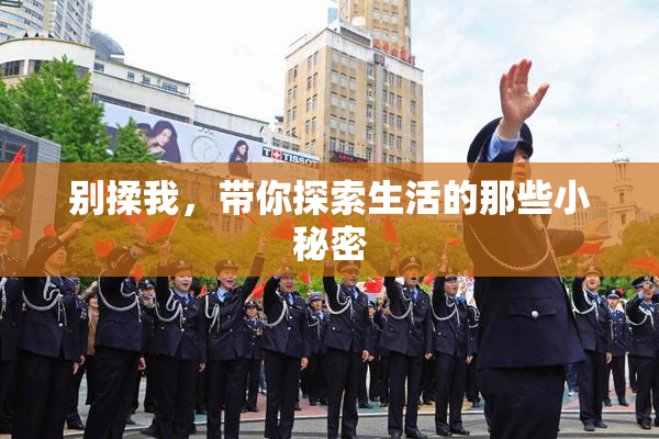 别揉我，带你探索生活的那些小秘密