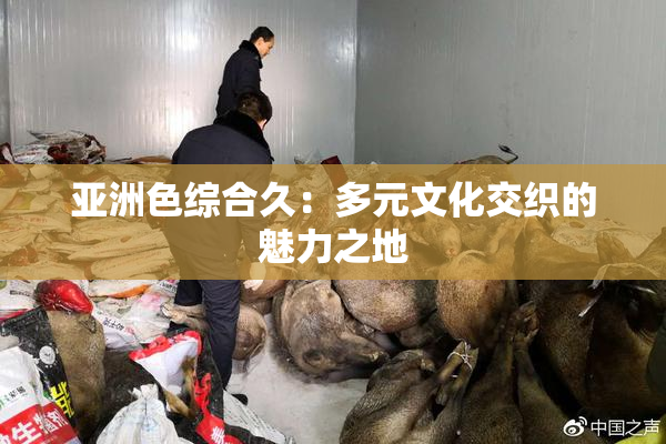 亚洲色综合久：多元文化交织的魅力之地