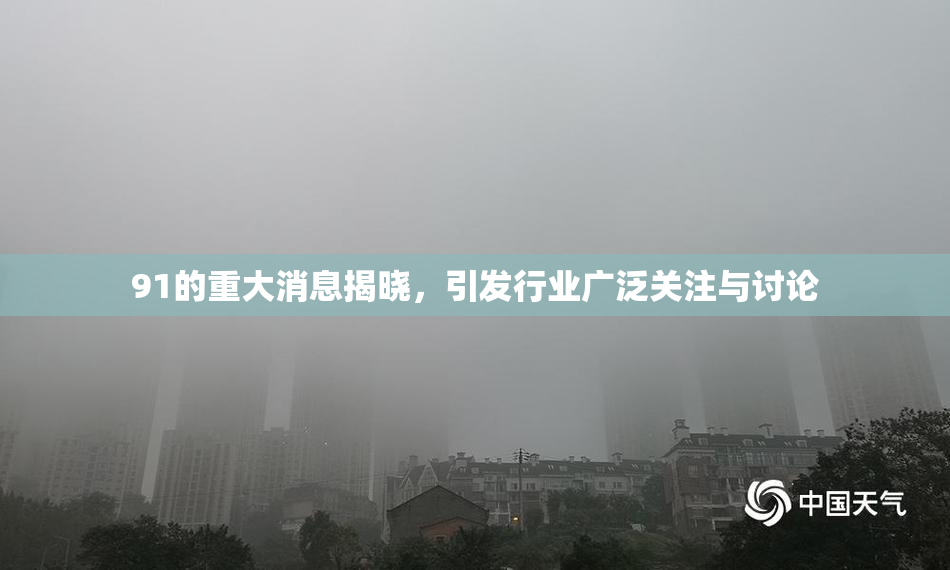 91的重大消息揭晓，引发行业广泛关注与讨论