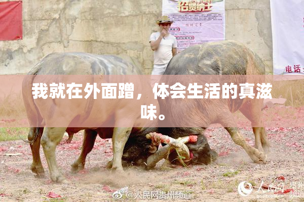 我就在外面蹭，体会生活的真滋味。