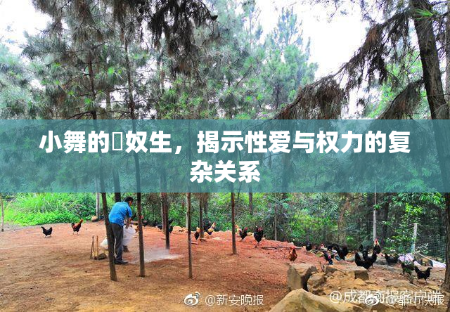 小舞的婬奴生，揭示性爱与权力的复杂关系