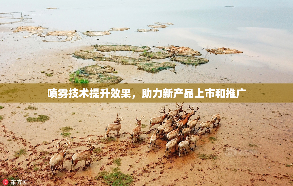 喷雾技术提升效果，助力新产品上市和推广