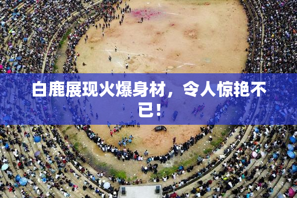 白鹿展现火爆身材，令人惊艳不已！